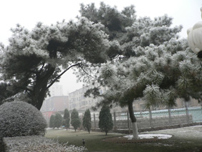 马惠枫老师摄影作品